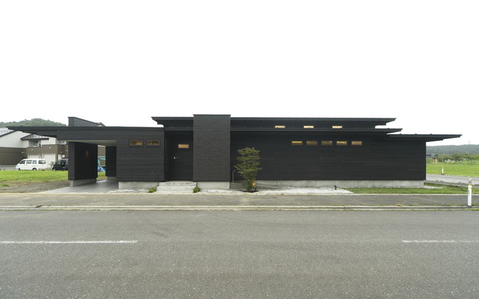 01_sin3729.jpg